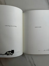 Load image into Gallery viewer, THE BOOK OF MISTAKES by Corinna Luyken
