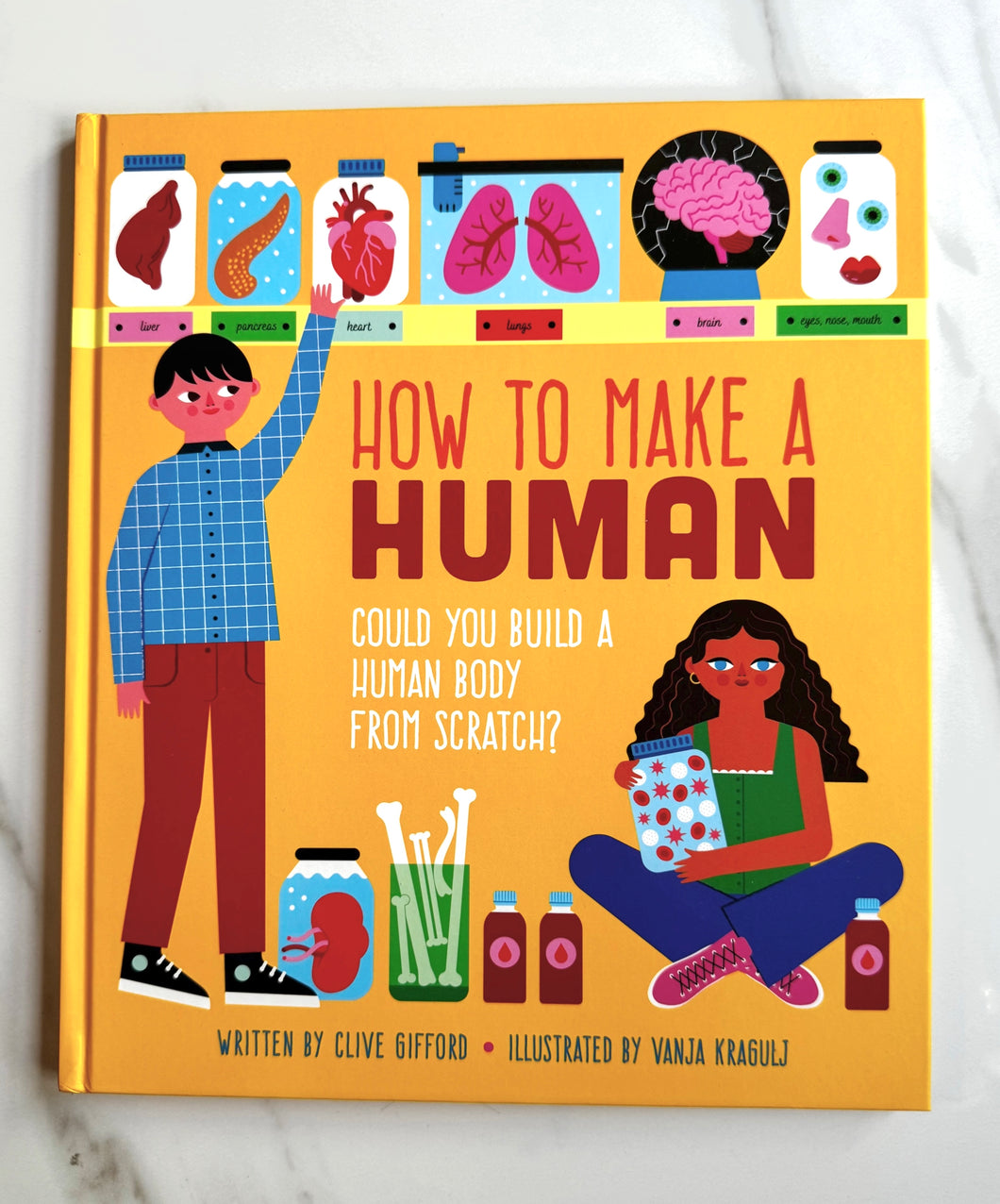 HOW TO MAKE A HUMAN by Clive Gifford